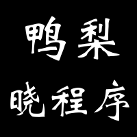 鸭梨晓程序微信号